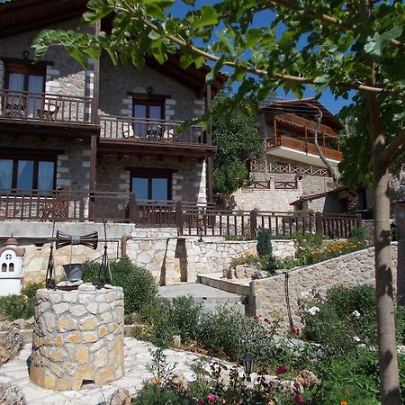 Theasis Suites-Ορεινή Φιλοξενία Kato Sinikia Trikalon エクステリア 写真