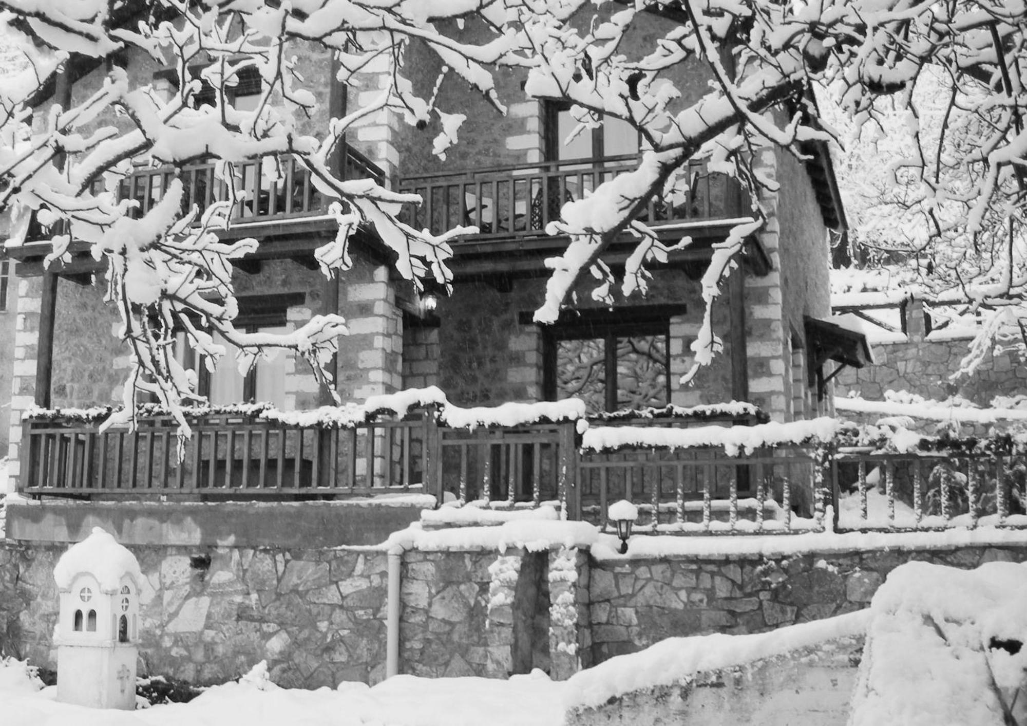 Theasis Suites-Ορεινή Φιλοξενία Kato Sinikia Trikalon エクステリア 写真