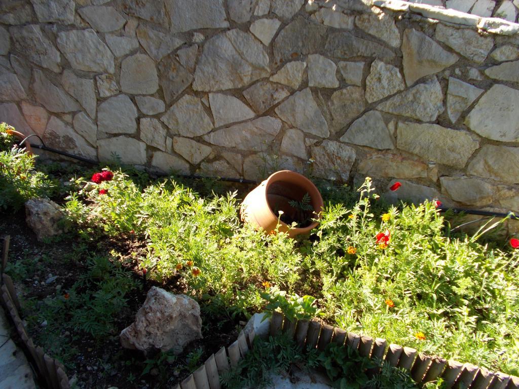 Theasis Suites-Ορεινή Φιλοξενία Kato Sinikia Trikalon エクステリア 写真