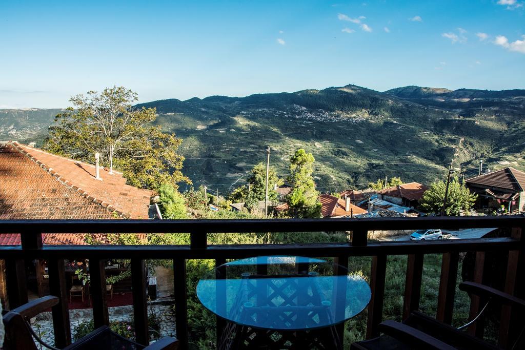 Theasis Suites-Ορεινή Φιλοξενία Kato Sinikia Trikalon エクステリア 写真