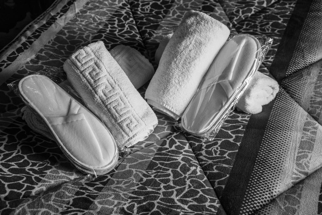 Theasis Suites-Ορεινή Φιλοξενία Kato Sinikia Trikalon エクステリア 写真