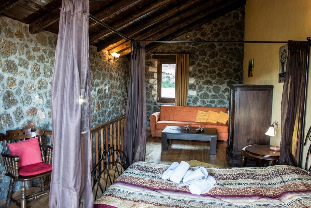 Theasis Suites-Ορεινή Φιλοξενία Kato Sinikia Trikalon エクステリア 写真