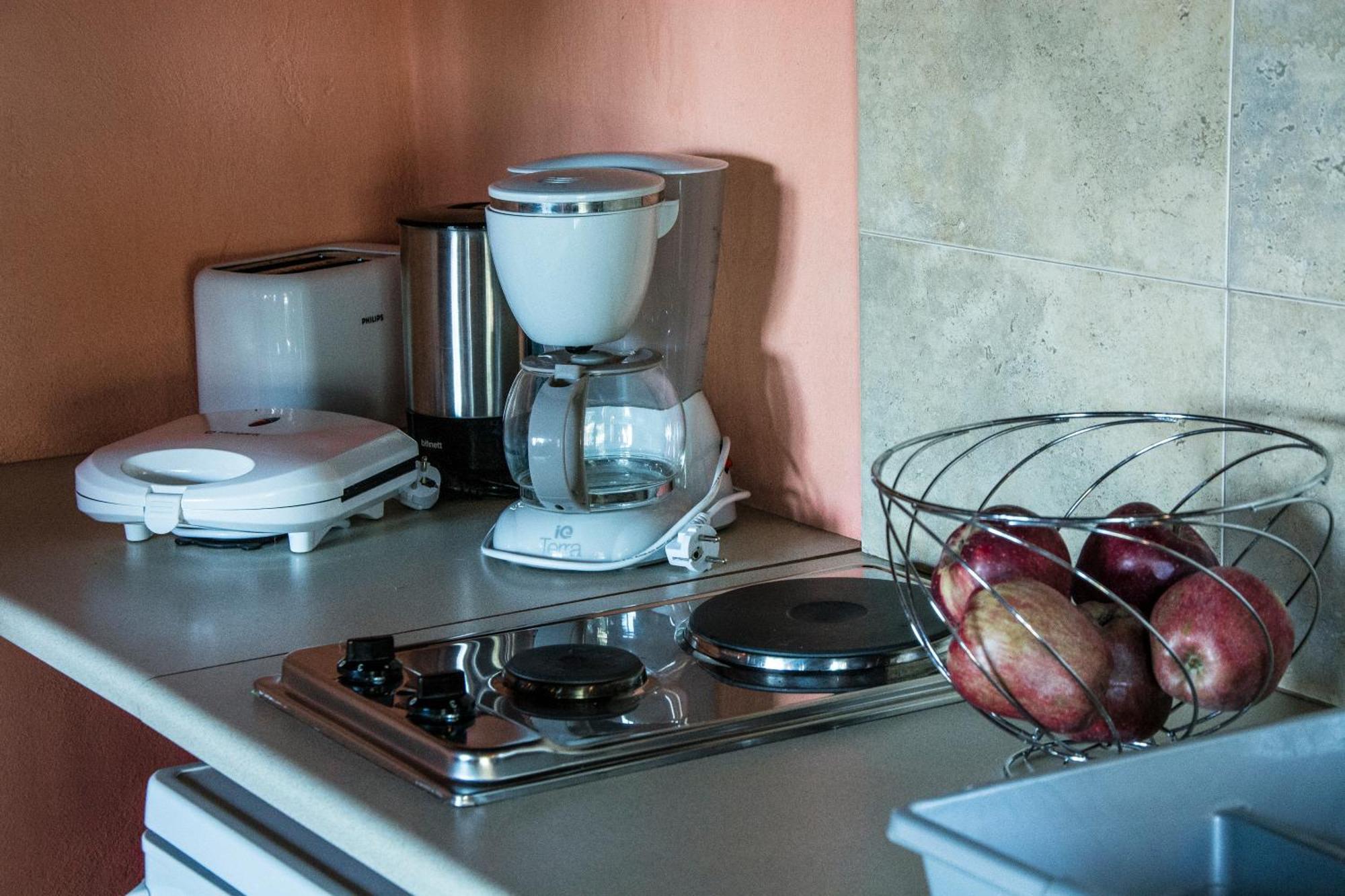 Theasis Suites-Ορεινή Φιλοξενία Kato Sinikia Trikalon エクステリア 写真