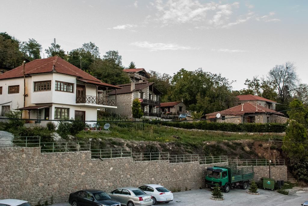 Theasis Suites-Ορεινή Φιλοξενία Kato Sinikia Trikalon エクステリア 写真